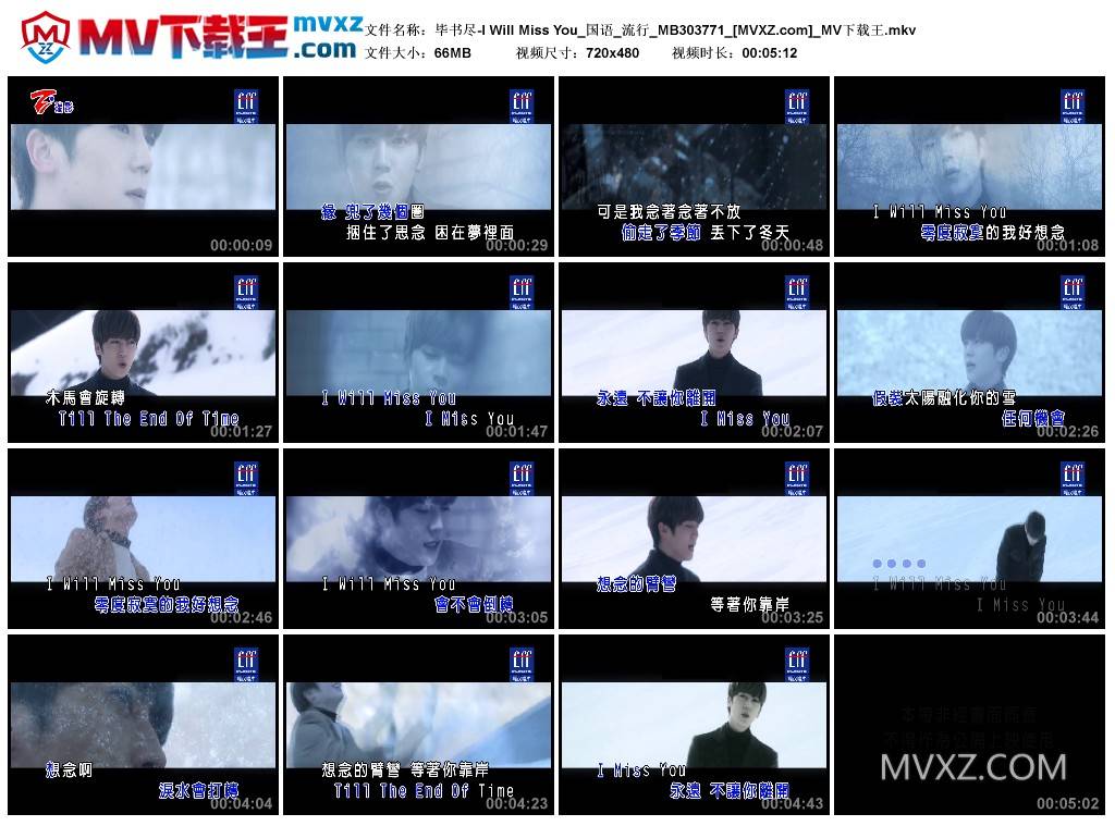 毕书尽-I Will Miss You_国语_流行_MB303771